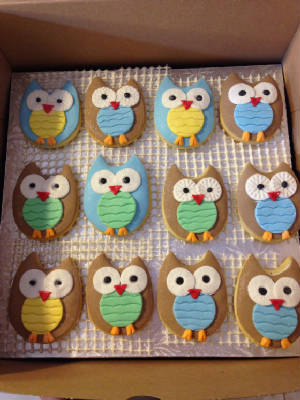 Owlcookies.jpg